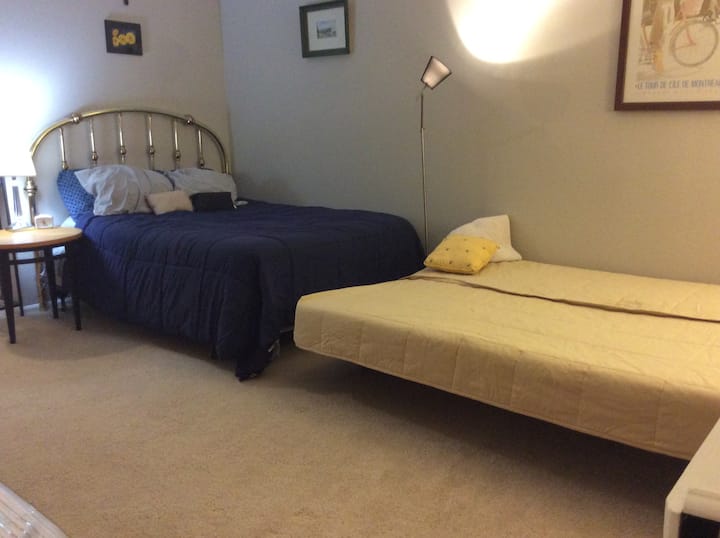 Full-size bed (in blue) next to futon couch-bed (in beige) shown expanded as a full-size bed.