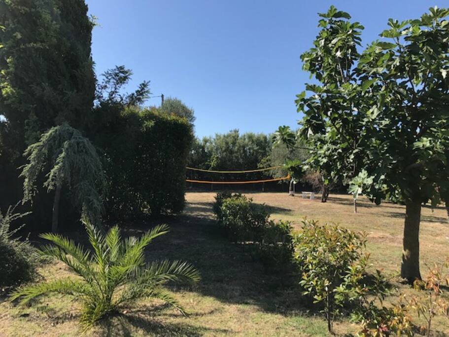 Campo da pallavolo