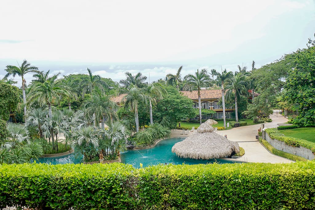 Diria Condo Pool + View