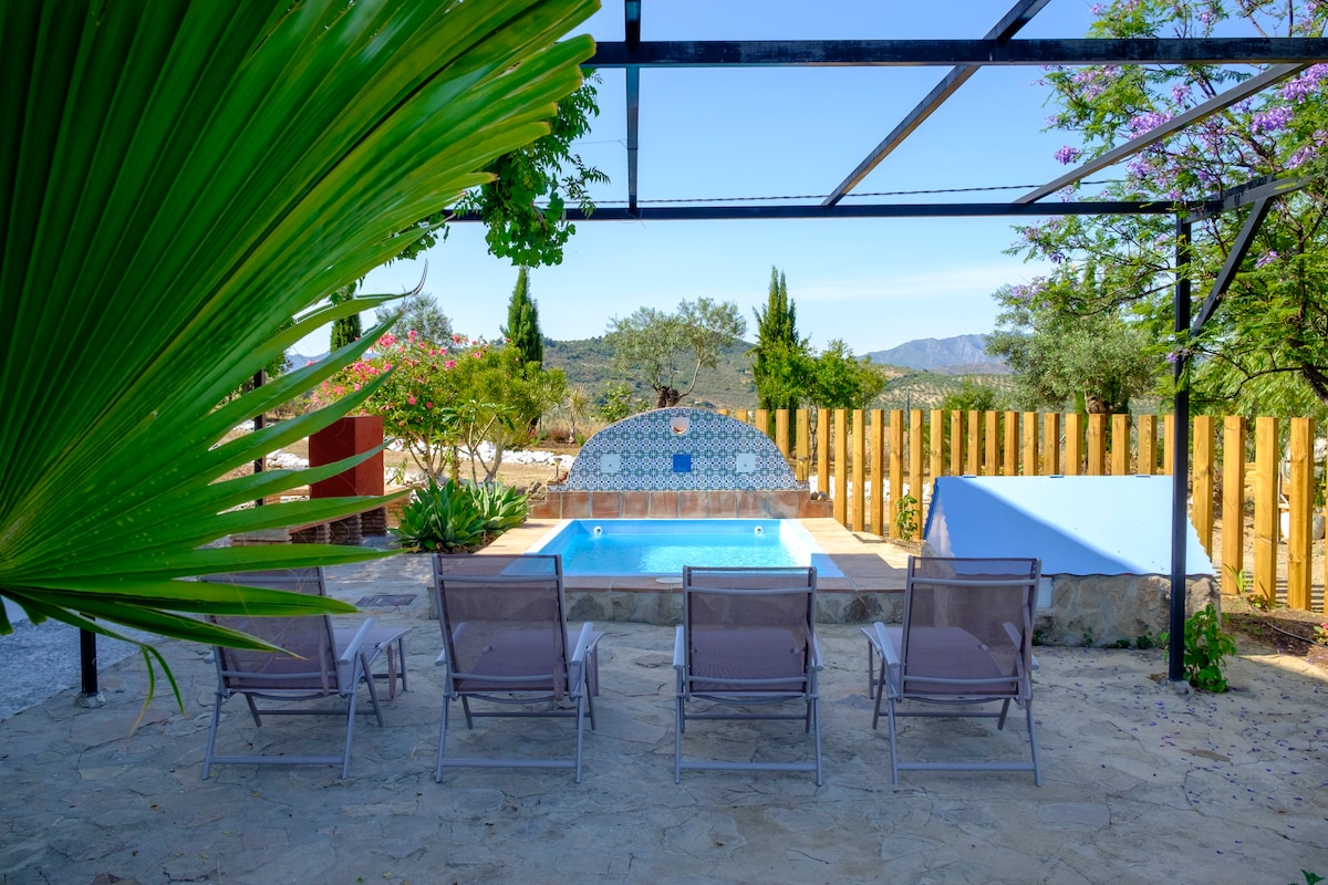 A shared pool area is featured, surrounded by a sandy space with four lounge chairs arranged for relaxation. A decorative tiled wall stands behind the pool, with lush greenery and trees visible in the background, contributing to a serene outdoor setting.