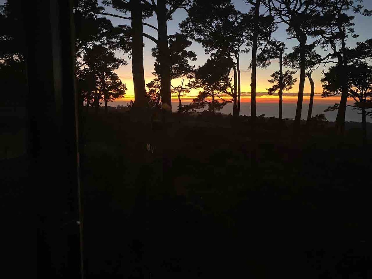 A scenic view is captured at sunset, featuring a silhouette of trees against a colorful sky. The horizon displays vibrant hues of orange and yellow fading into a darker blue, suggesting a peaceful outdoor setting.