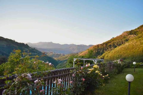 Breath-taking View, Jacuzzi,Pool, Sauna 1772 House