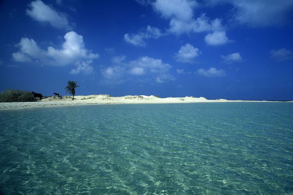 Les plus belles plages de sable fin sont situées à 9 minutes à pied du Menzel.