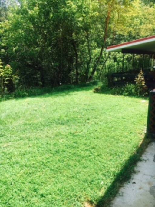 Nice backyard and parking- with wild turkey and deer in the mornings. Also resident terrapins.