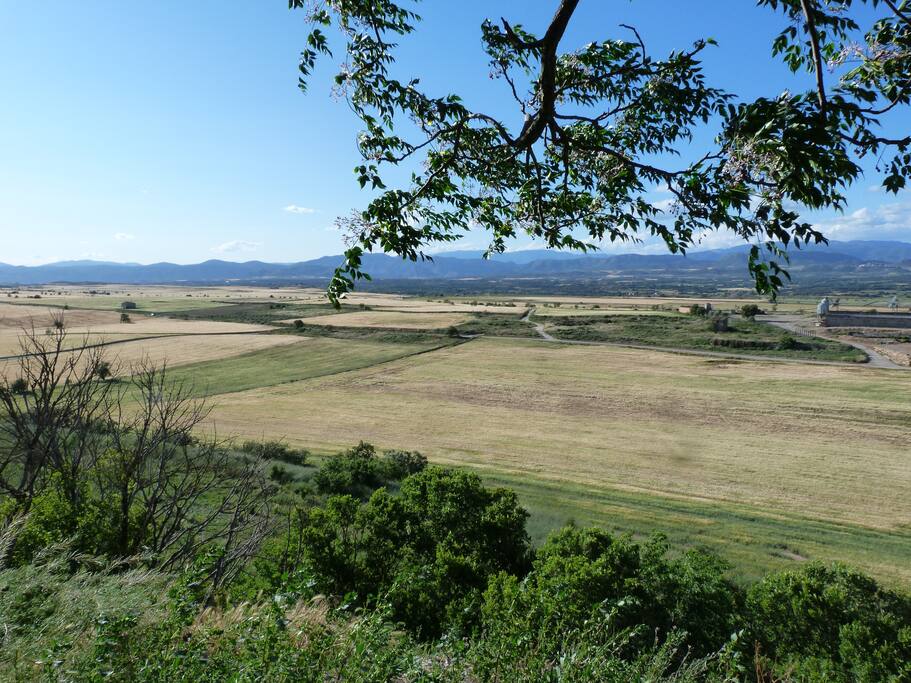 Panorámica