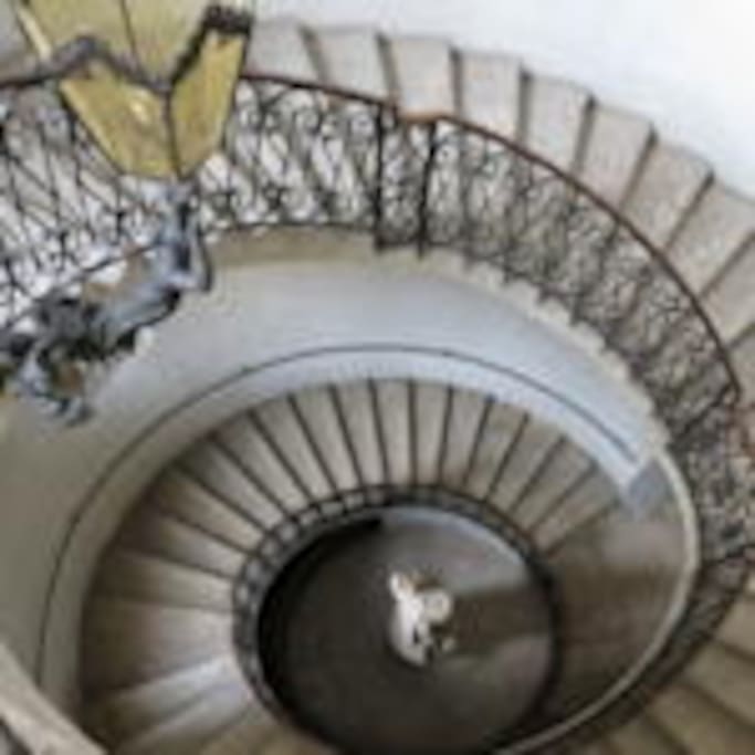 The ancient Palace Palazzo Maffei