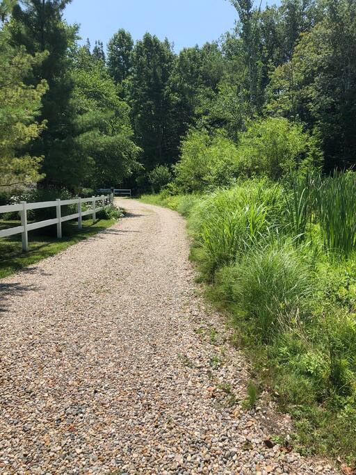 Gravel drive leading from the street to our home.