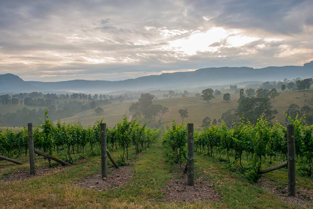 Good morning from the Megalong Valley!