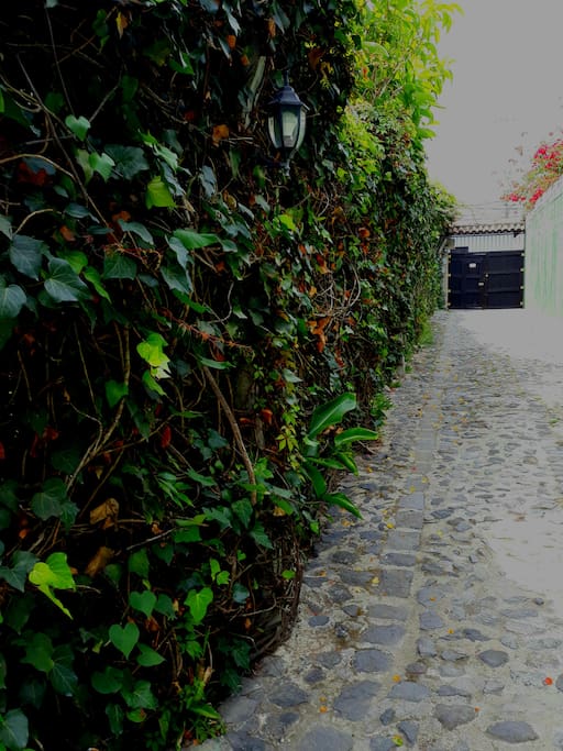 From the entrance, immerse yourself in the beautiful gardens.
