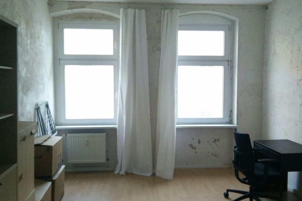 Bedroom/Livingroom