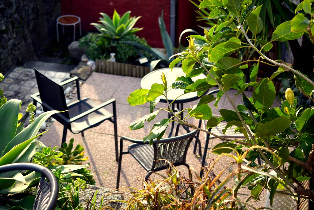 Garden (Sunset)