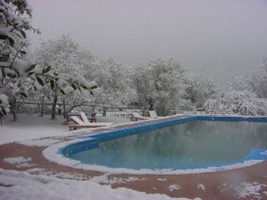 cuando nieva...