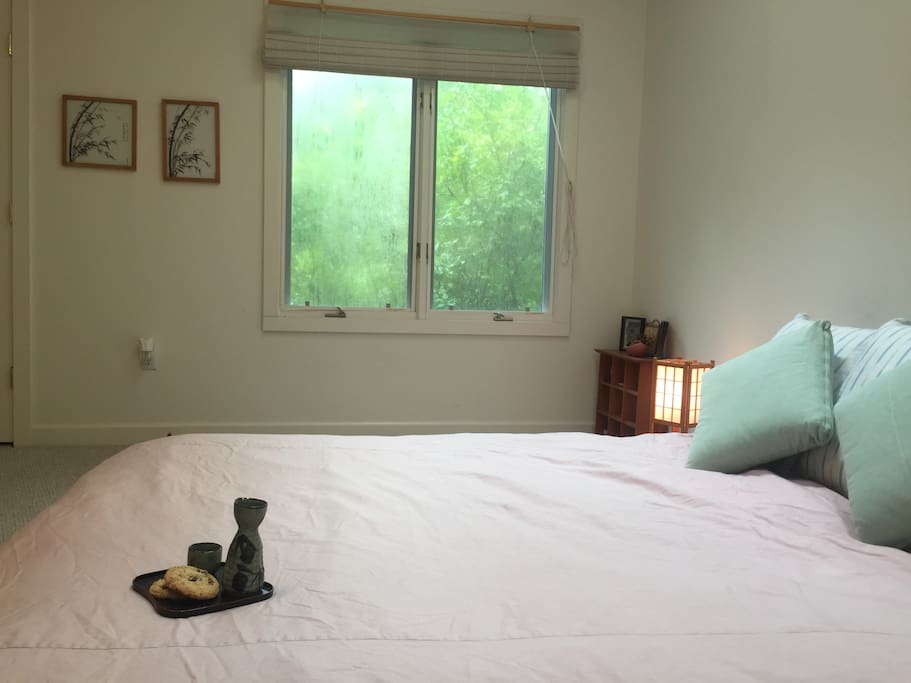 Plenty of natural light!