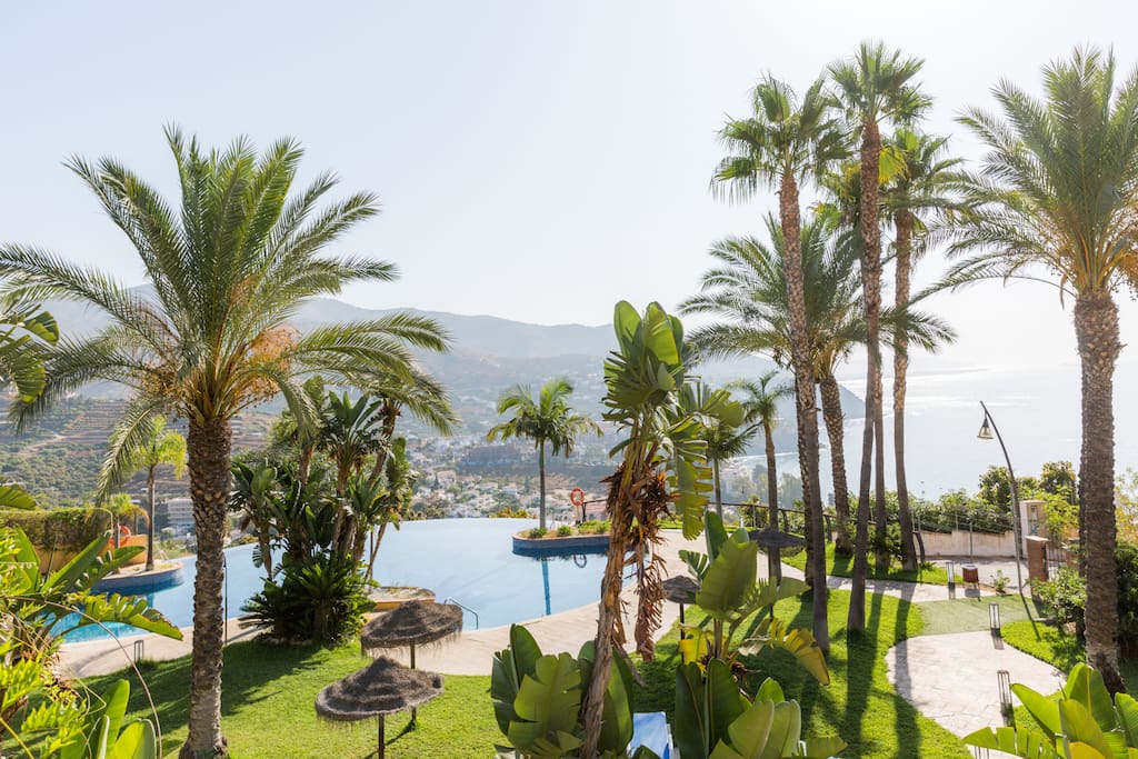 Infinity pool and Complex gardens