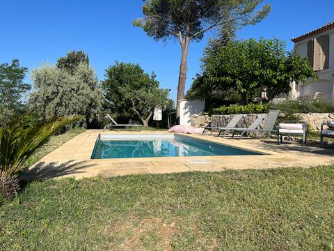 Provencal countryside between pine forest and olive trees