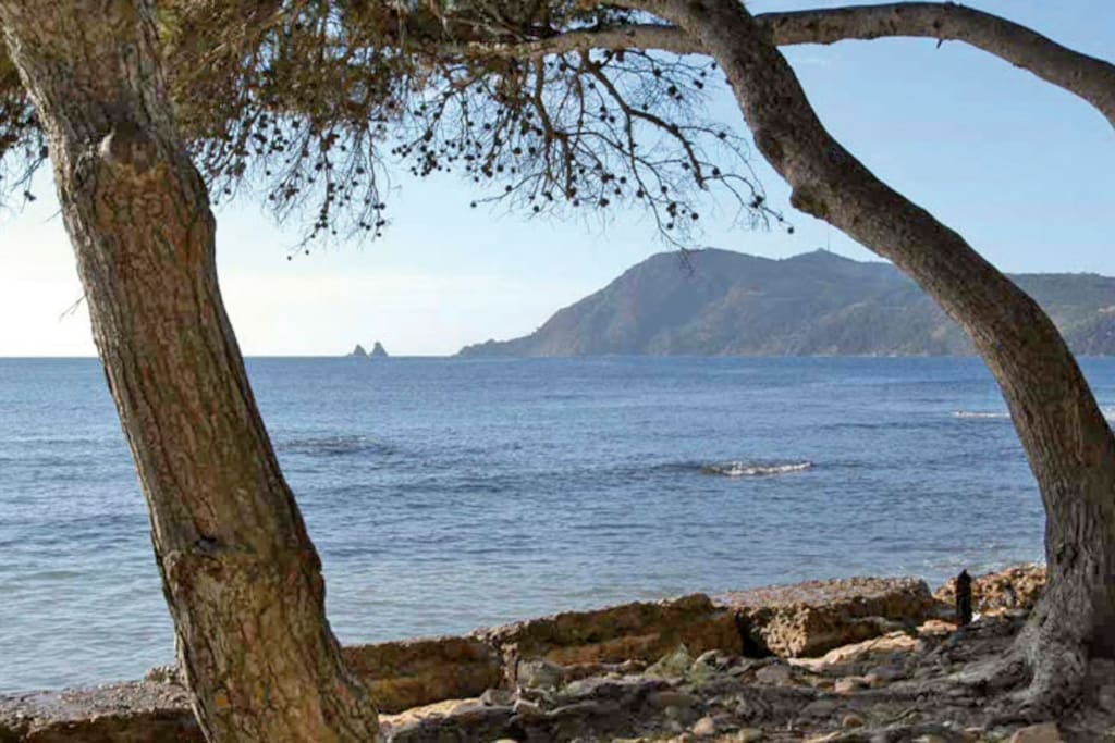 vue sur "les deux frères" et le "cap Sicié" depuis la pinède de la plage Sainte Asile