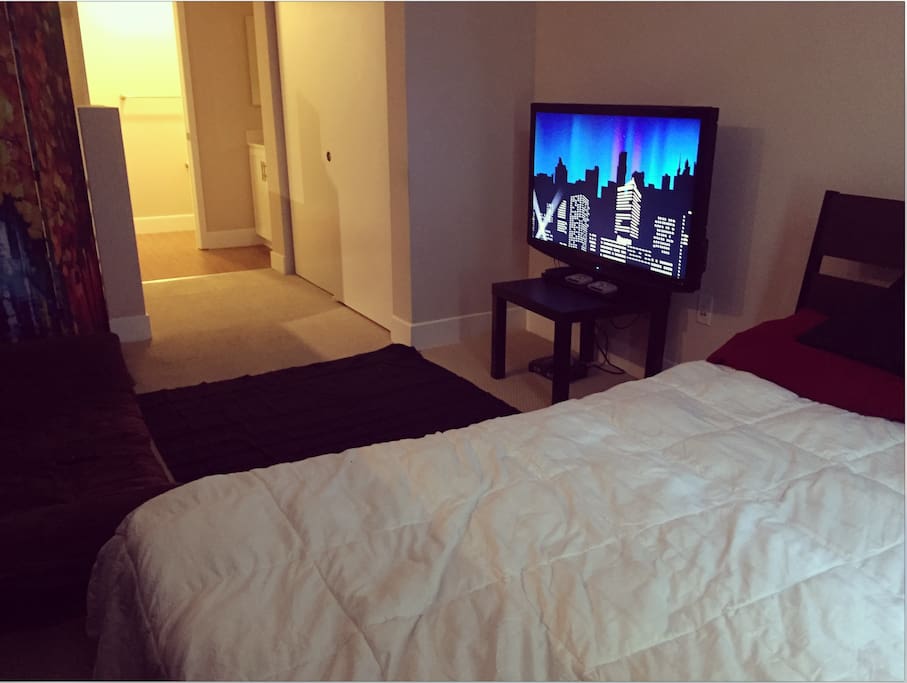 Queen bedroom with bathroom, Couch, TV, Roku!