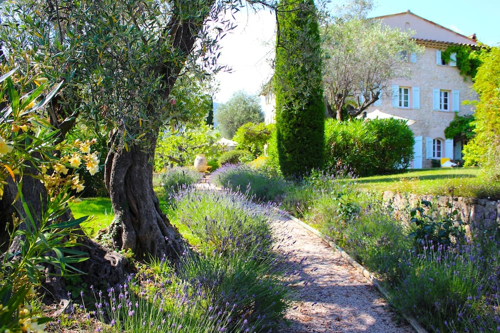 Lavender and Jasmine-lined Paths Welcome You