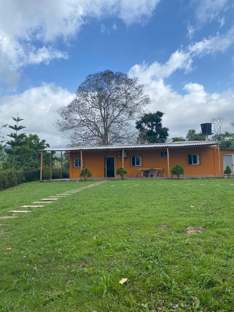 A vibrant orange house is nestled within a lush green landscape. The structure features a covered porch and is set against a backdrop of a sprawling tree and a clear blue sky. A stone pathway leads to the entrance, enhancing the inviting outdoor space.