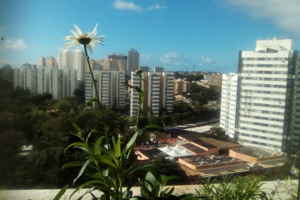 Visão um pouco do bairro