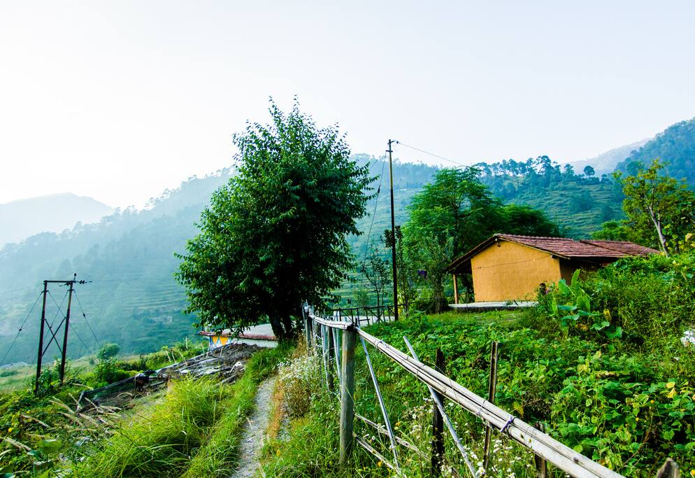 Surrounding area of the property