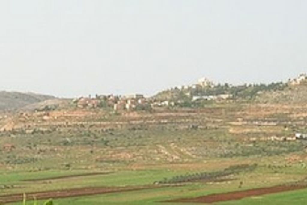 Modern Shilo set on a set of hills over looking the Biblical Shilo Valley.