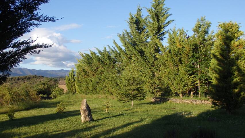 listing_image
