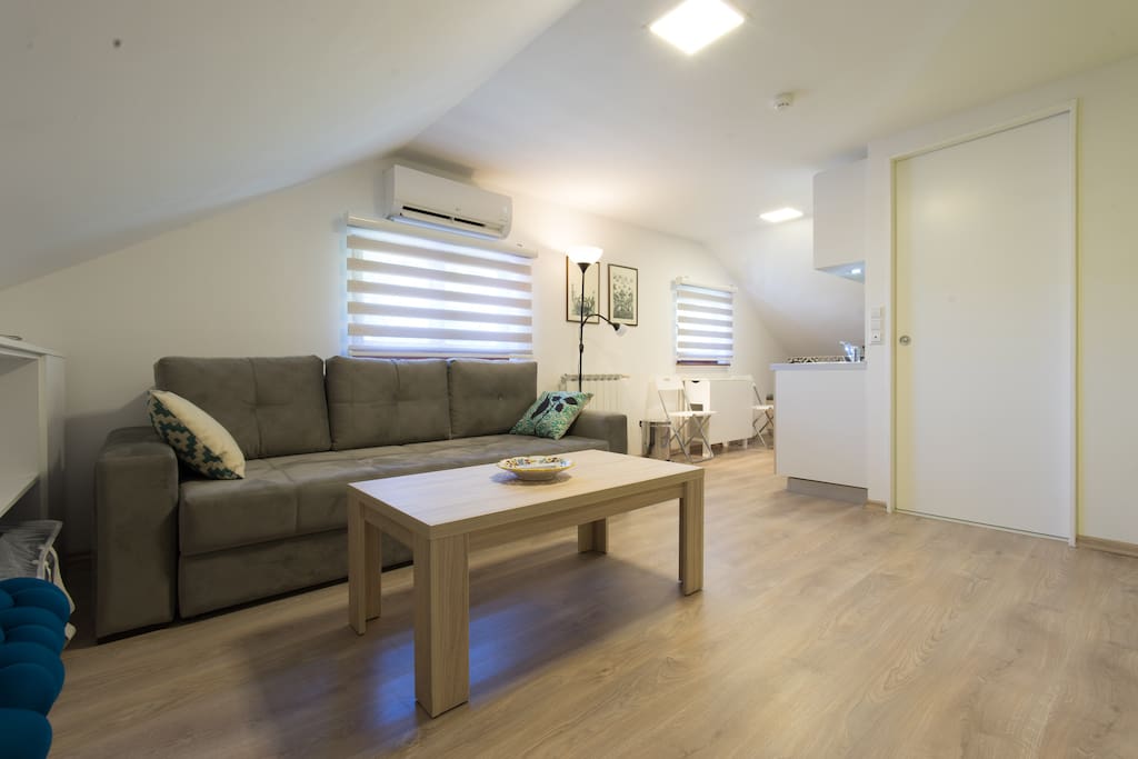 A thoughtful plan and smart furniture choices make this studio feel like a fully customised abode