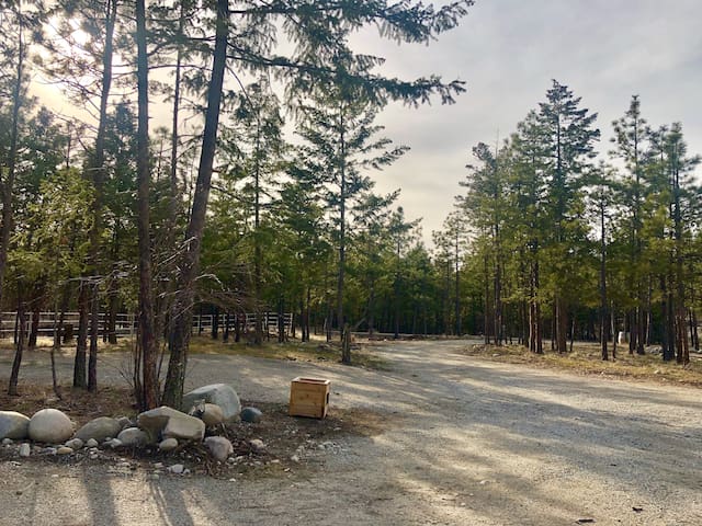 Best Campgrounds & RV Parks in County Kildare, Ireland. Europe Ireland Province of Leinster County Kildare The Best County Kildare Camping 2020 - Tripadvisor
