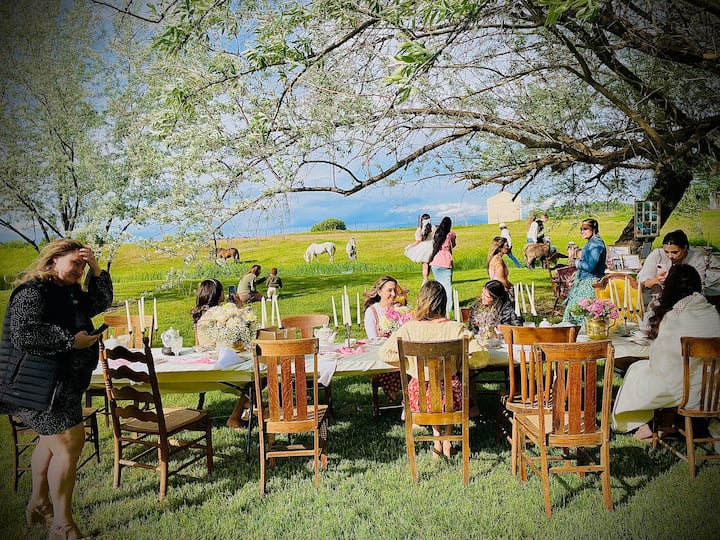 Willow Creek Retreat