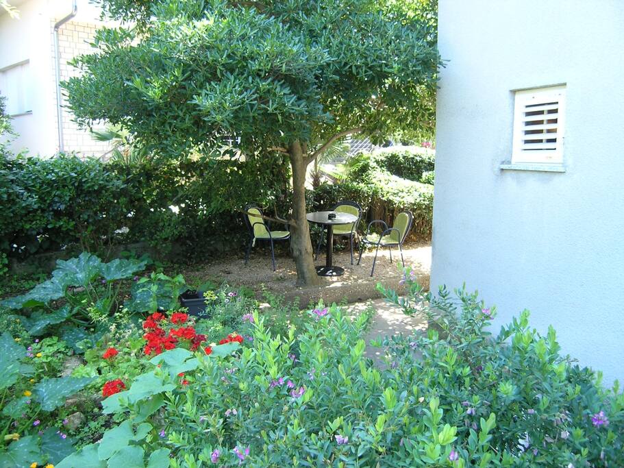 terrace with garden