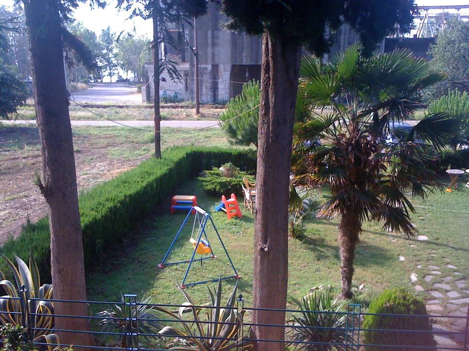 garden view