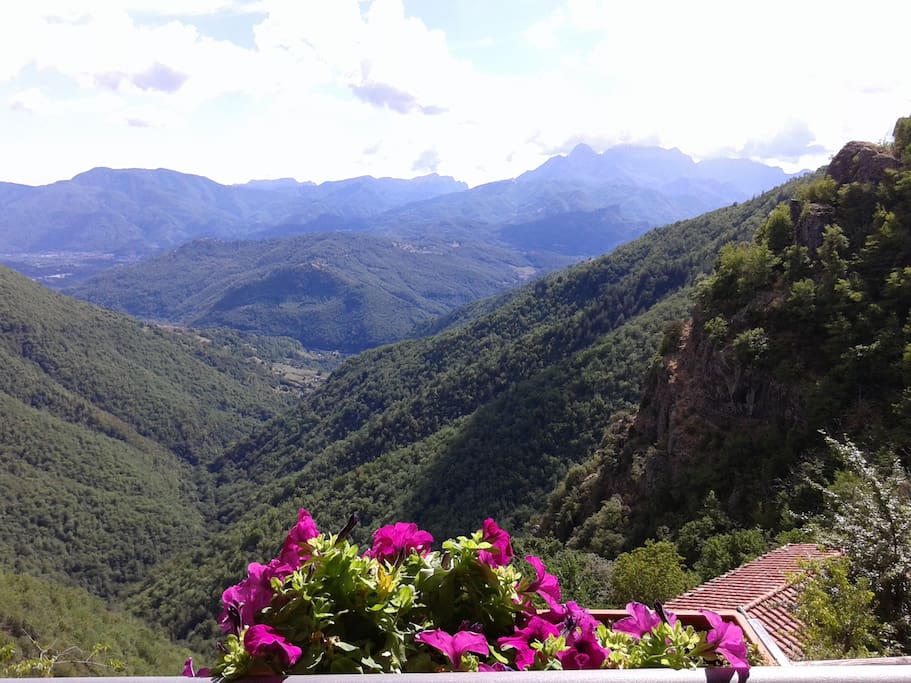 View from the terrace
