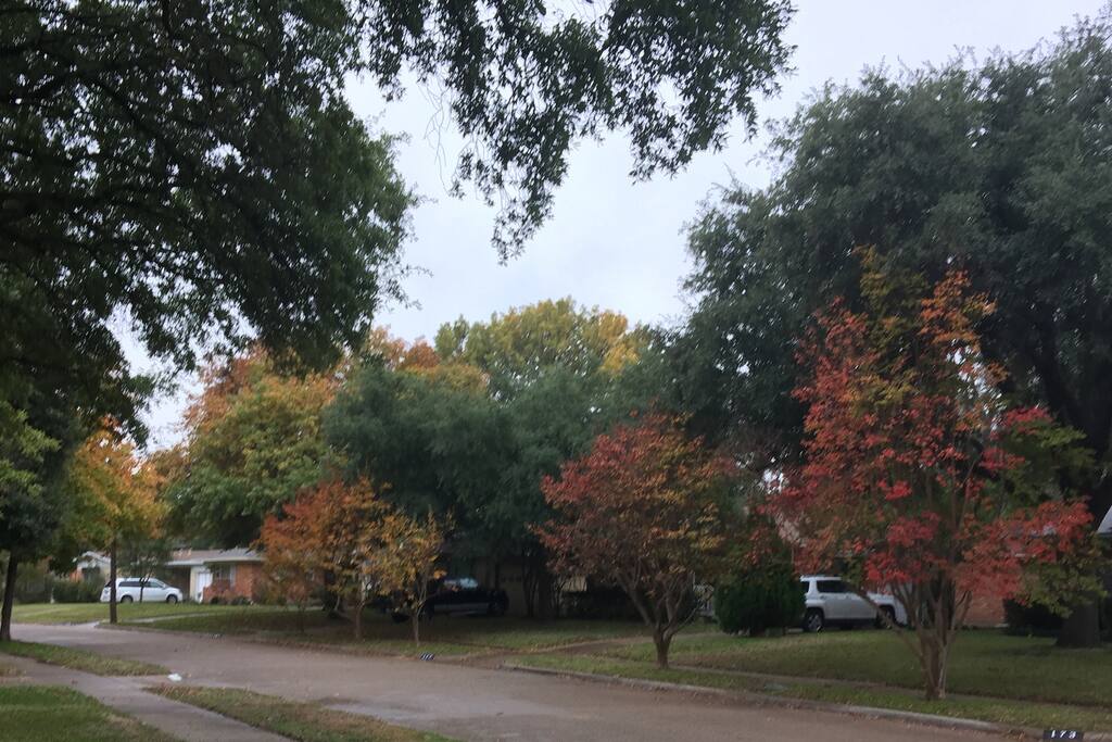 Quiet street in a beautiful residential neighborhood. Perfect place for an evening walk. Coffeehouse, grocery and restaurants within walking distance. Bus line on corner.