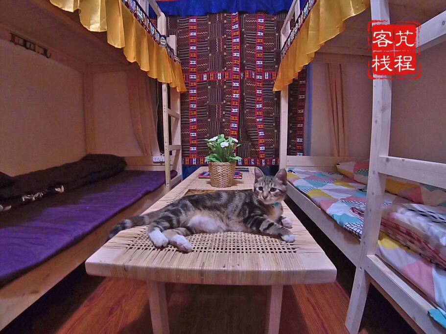 卧房