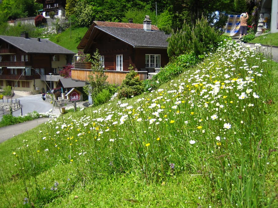 Ferienhaus Jobin