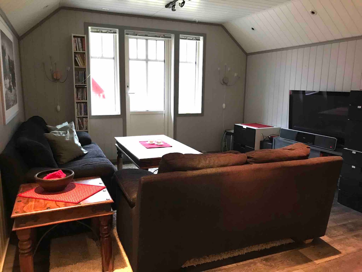 Loft living room. Couches can be used as a bed if desired. Stair gates in front of the stairs