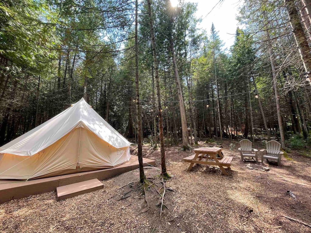 A spacious yurt is set amidst a wooded area, surrounded by tall trees. A picnic table and two Adirondack chairs are positioned nearby, creating a cozy outdoor seating space. The ground is covered with natural mulch, and soft sunlight filters through the tree canopy.