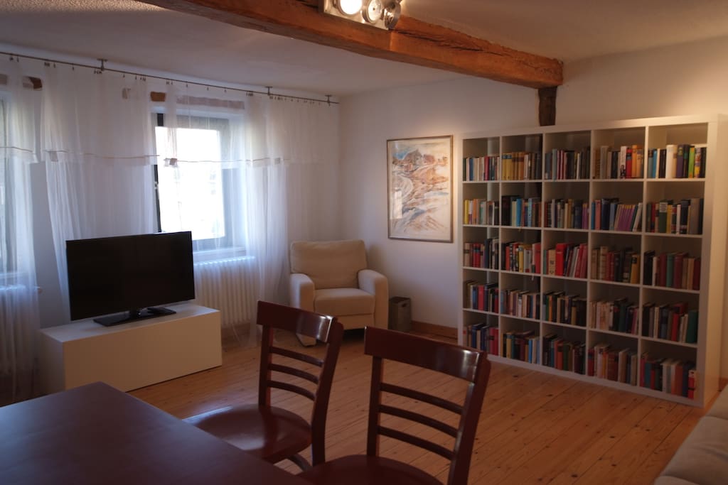 Wohnzimmer mit SAT-TV, WLAN und Bibliothek