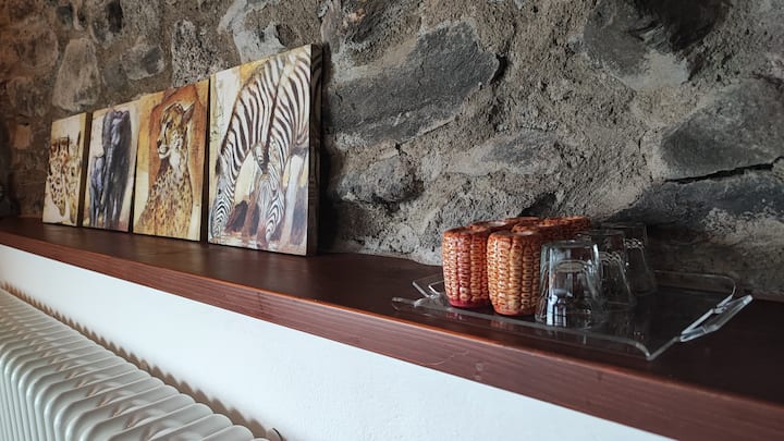 Your House On The Valtellina Wine Road - Italie
