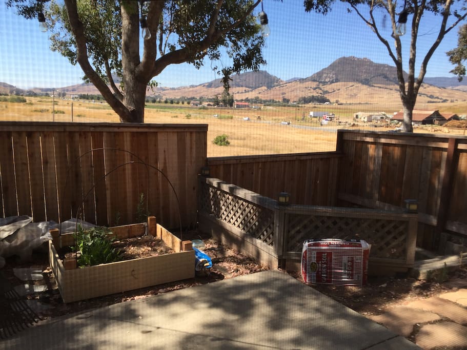Second Backyard view