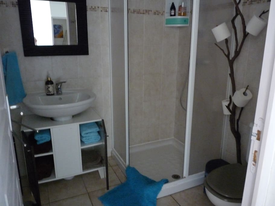 lavabo, douche et toilettes