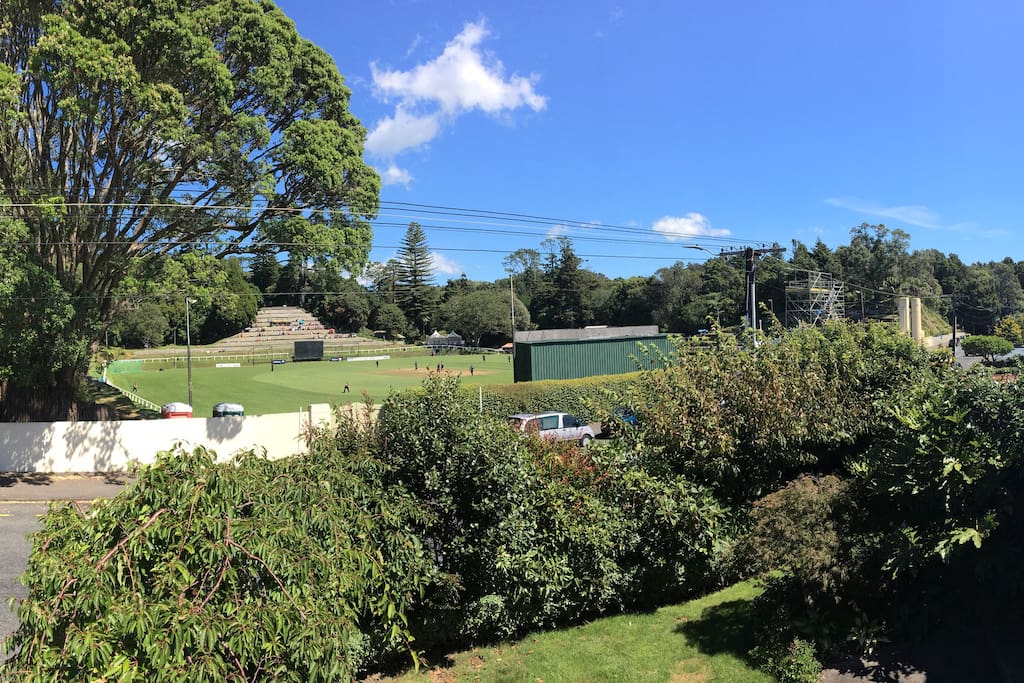 View from house of Pukekura Park sports ground