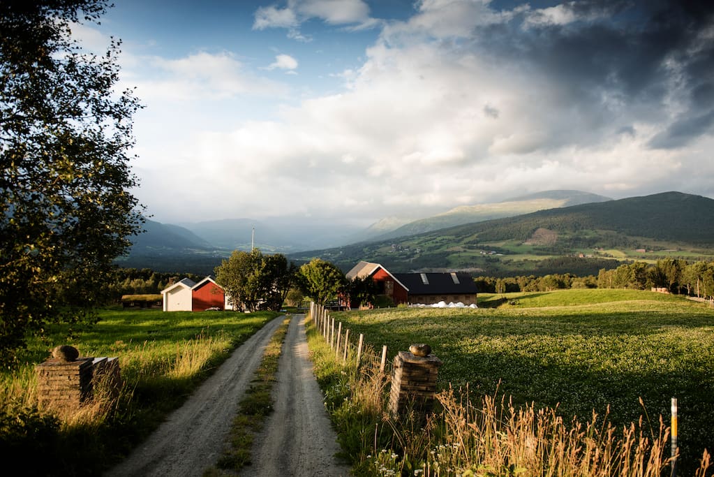Garden er i drift med 100 vinterfora sauer