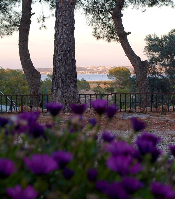 Garten...tolle Aussicht