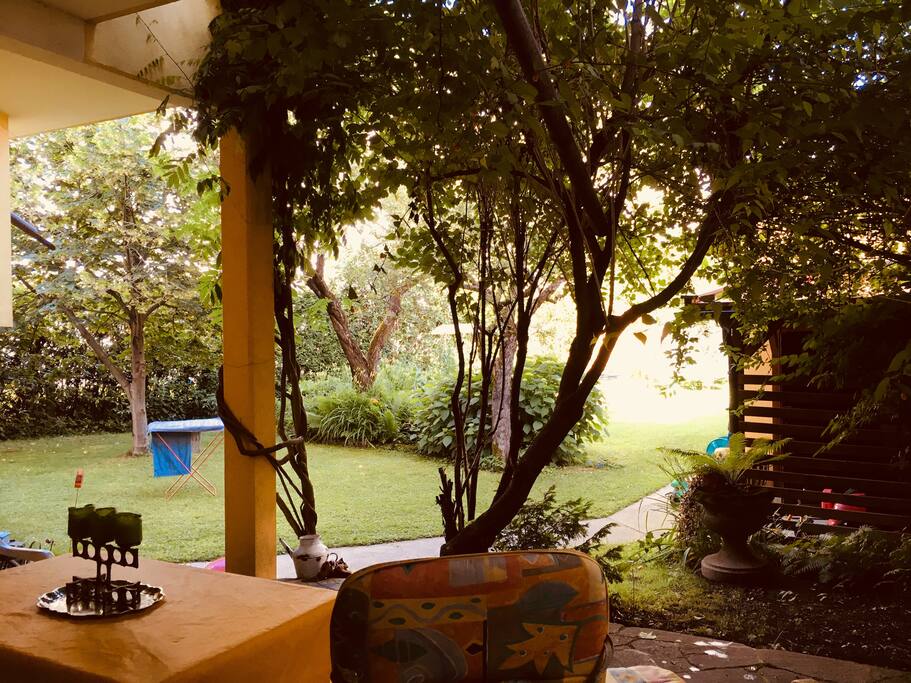 Blick in den Garten von der Terrasse