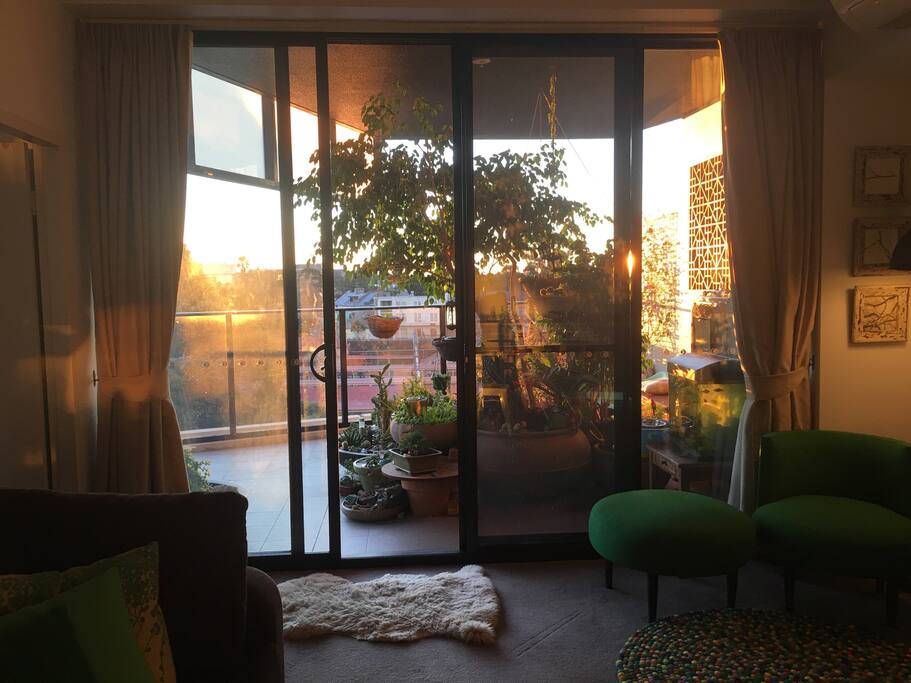 Welcome to the oasis in city