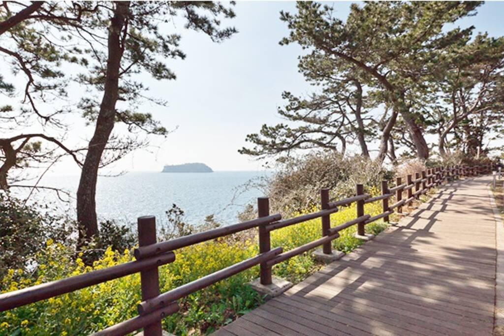 산책로 올레 7코스