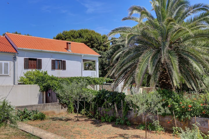 Palma rooms - room 1