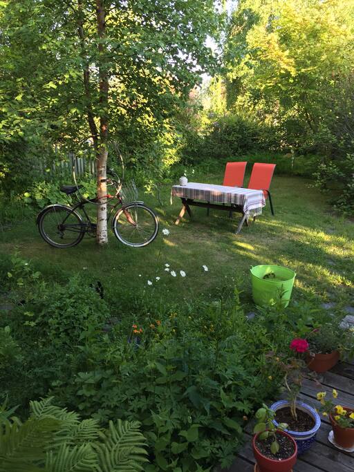 Backyard!